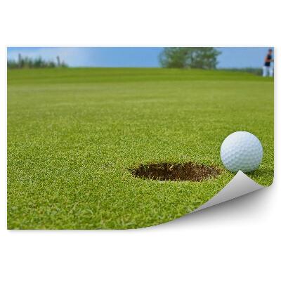 Fotótapéta Lyukas golflabda ég felhők fű fák