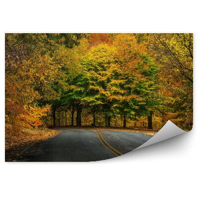 Poszter tapéta Ősz az erdőben