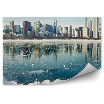 Öntapadós fotótapéta Felhőkarcolók new york fák ég felhők óceán jég hó