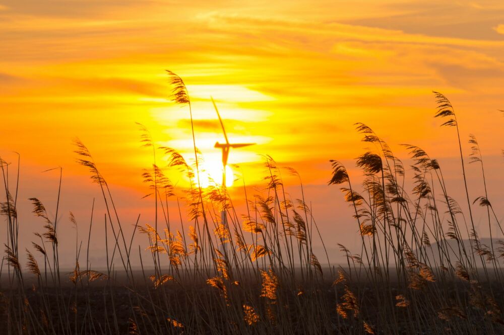 Fotótapéta Napkelte nád felett egy mezőn