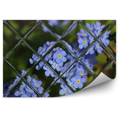 Fotótapéta Lila virágok a kertben