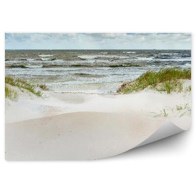 Fotótapéta Dűnék a Balti-tenger partján