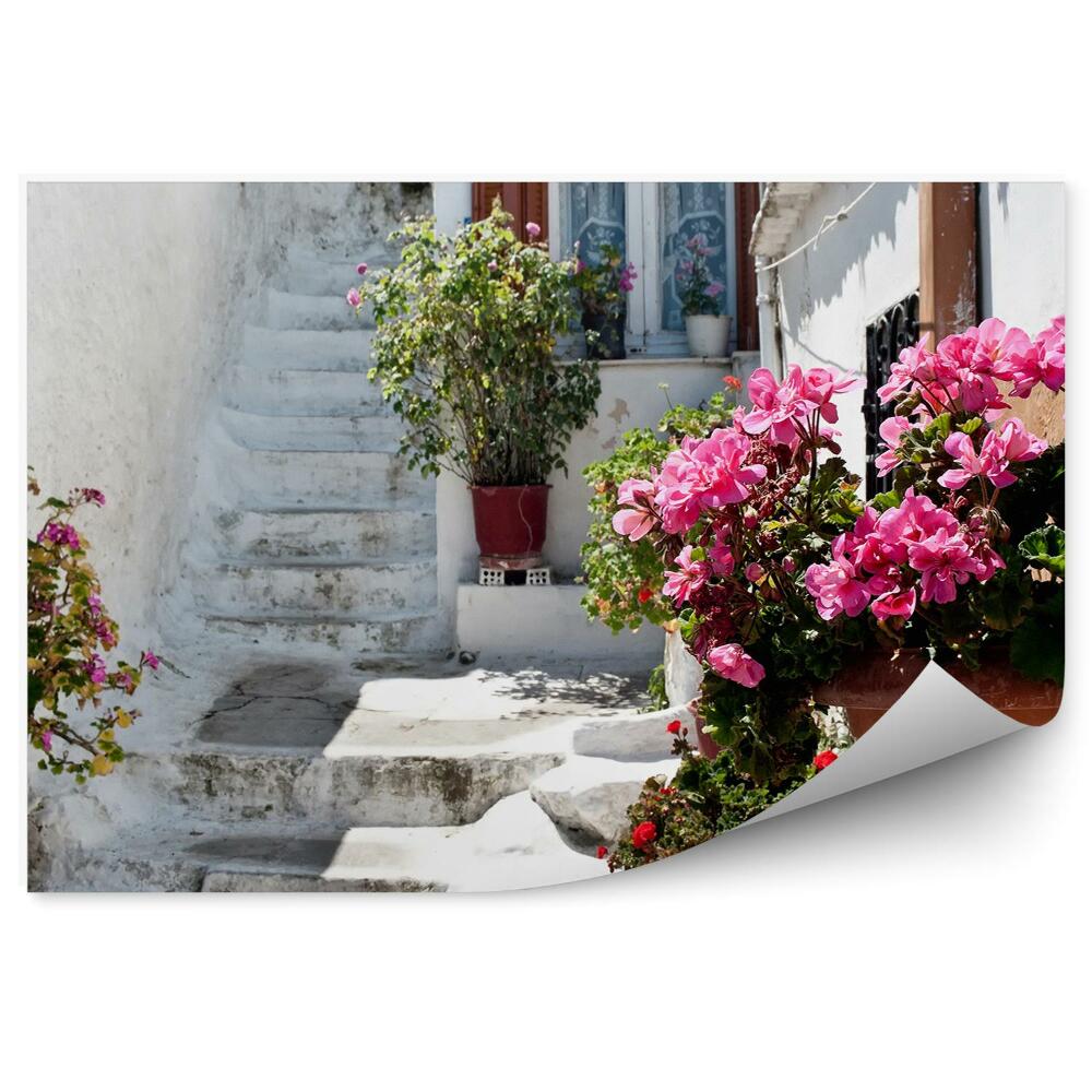Fotó poszter tapéta Virágok cserepes növények természet fehér utca