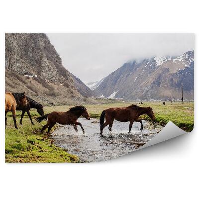 Fotótapéta Hegyek csorda lovak folyó fű hó