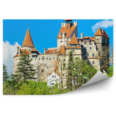 Fotótapéta Vár Erdélyben híres Drakula