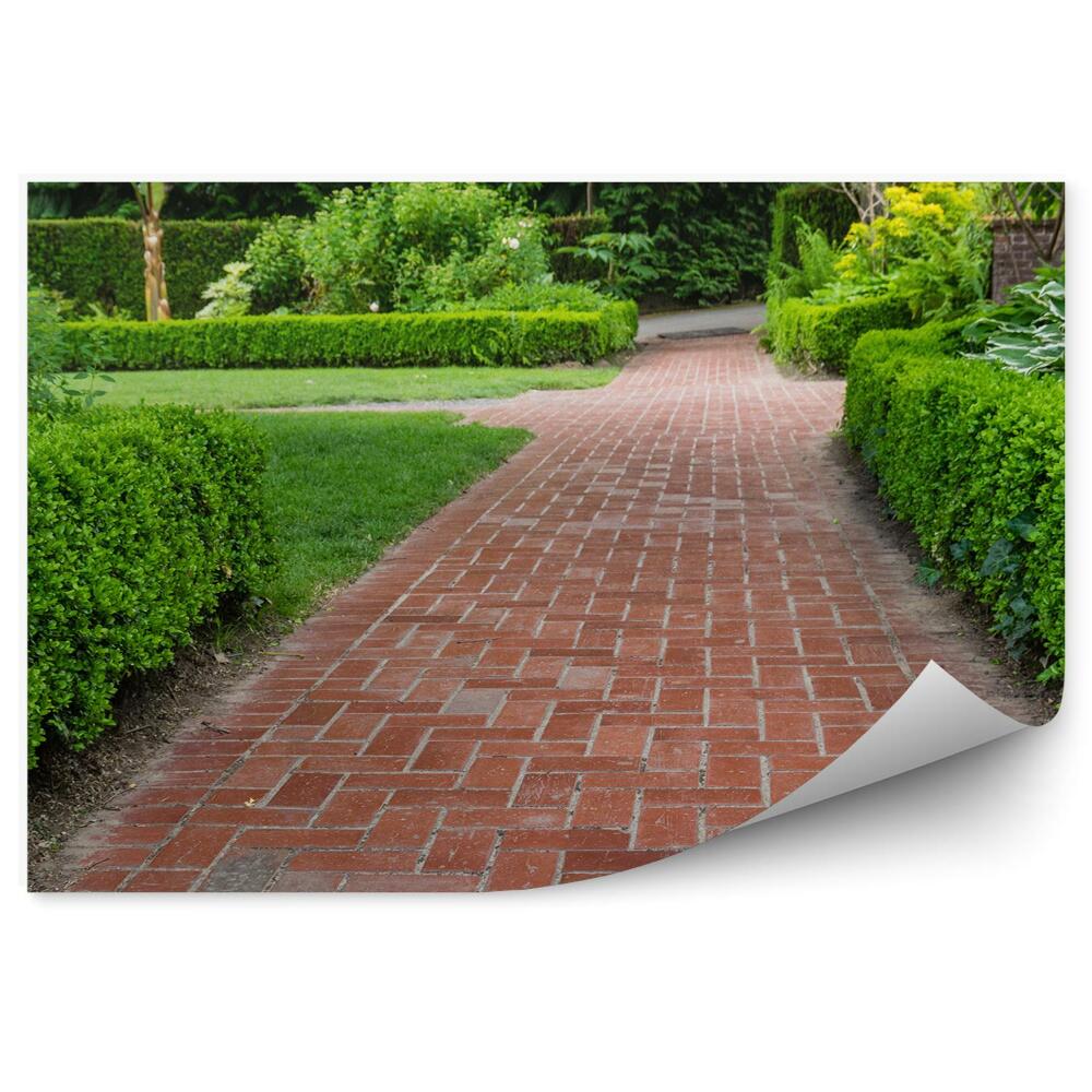 Fotótapéta Kerti út növényzet bokrok zöldellő