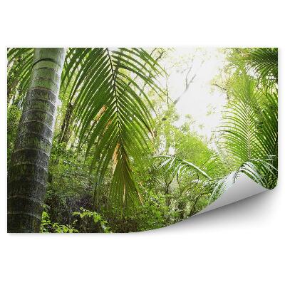 Öntapadós fotótapéta Perspektíva erdei trópusi fényben