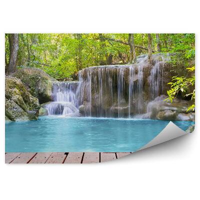 Fotótapéta Vízesés természet erdő