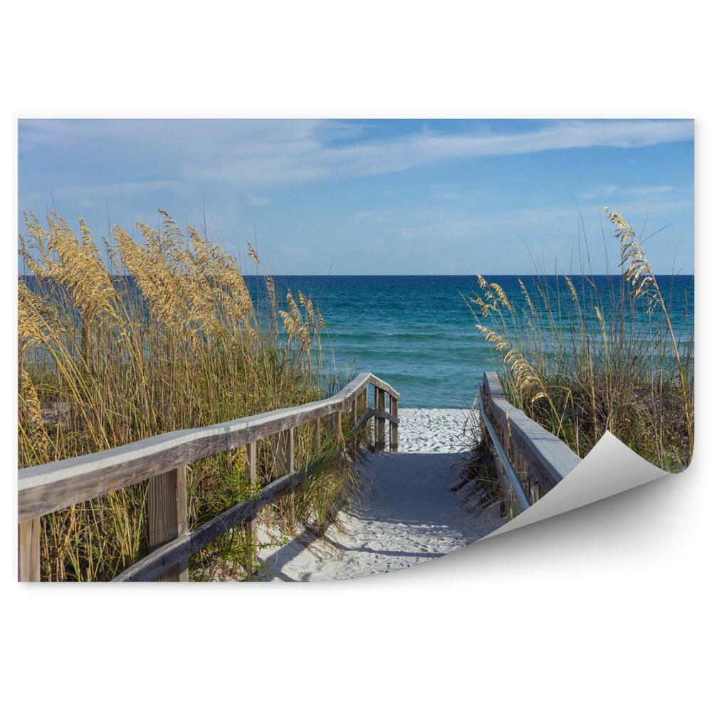 Fotótapéta Tengerparti séta dűnékkel és uniola fülekkel