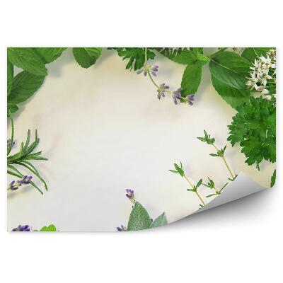 Öntapadós Fotótapéta Falra Friss természeti gyógynövények kompozíciós keret