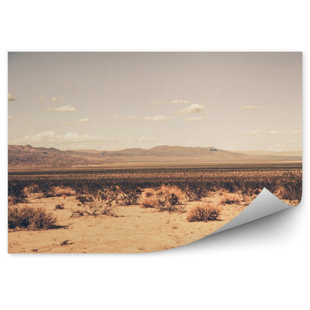 Modern fotótapéta Dél-Kaliforniai sivatag