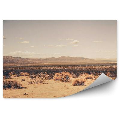 Modern fotótapéta Dél-Kaliforniai sivatag