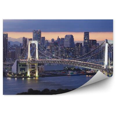 Poszter tapéta felhőkarcolók híd óceán éjszakai felhők Tokió Japán