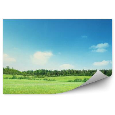 Fotótapéta Fű mező fák növényzet