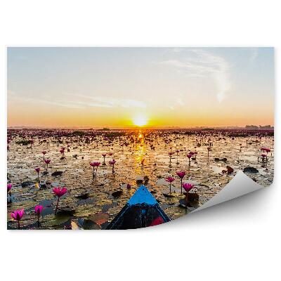 Fotótapéta Hajó a tavon a tavirózsákkal és a naplementével