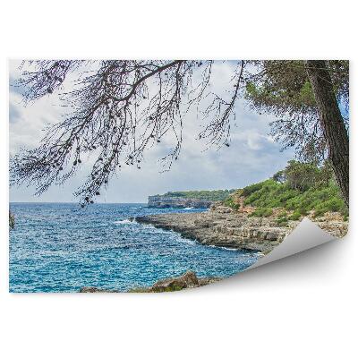 Poszter tapéta Gyönyörű vad trópusi tengerpart