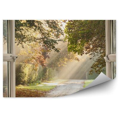 Öntapadó fotótapéta Parkolás az ablakon kívül