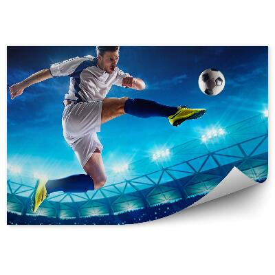 Fotótapéta Röplabda futballista a stadionban