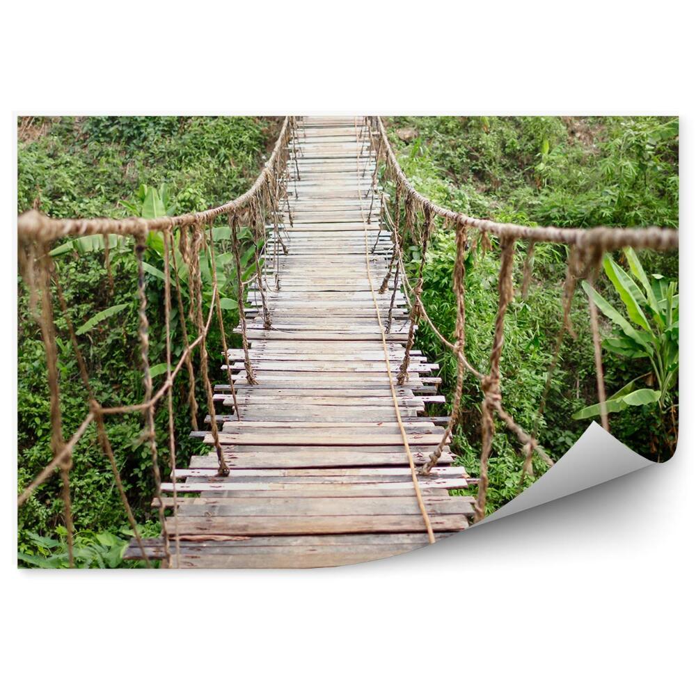 Fotótapéta Fából készült zöld függő kötélhíd