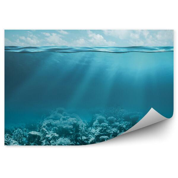 Öntapadó fotótapéta Óceán fenekén korallzátony égbolt felhők