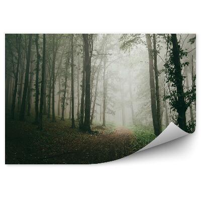 Öntapadós fotótapéta falra Fa erdei ösvény