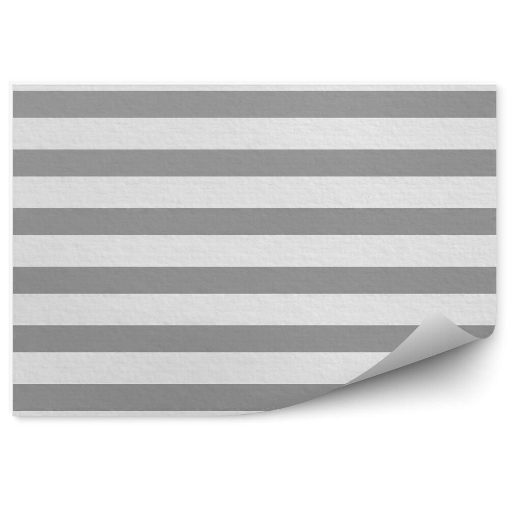 Fotótapéta Szürke és fehér csíkok