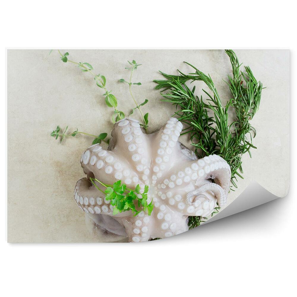 Kép Tapéta Polip gyógynövények természet