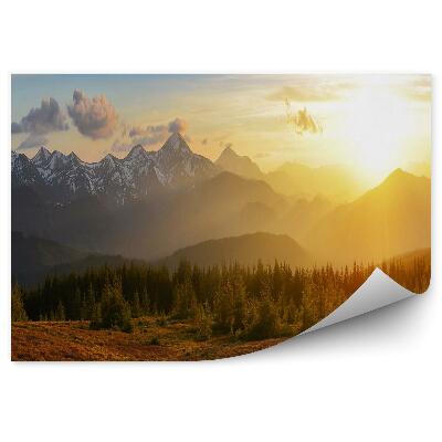 Poszter tapéta Hegyi erdő napkeltekor