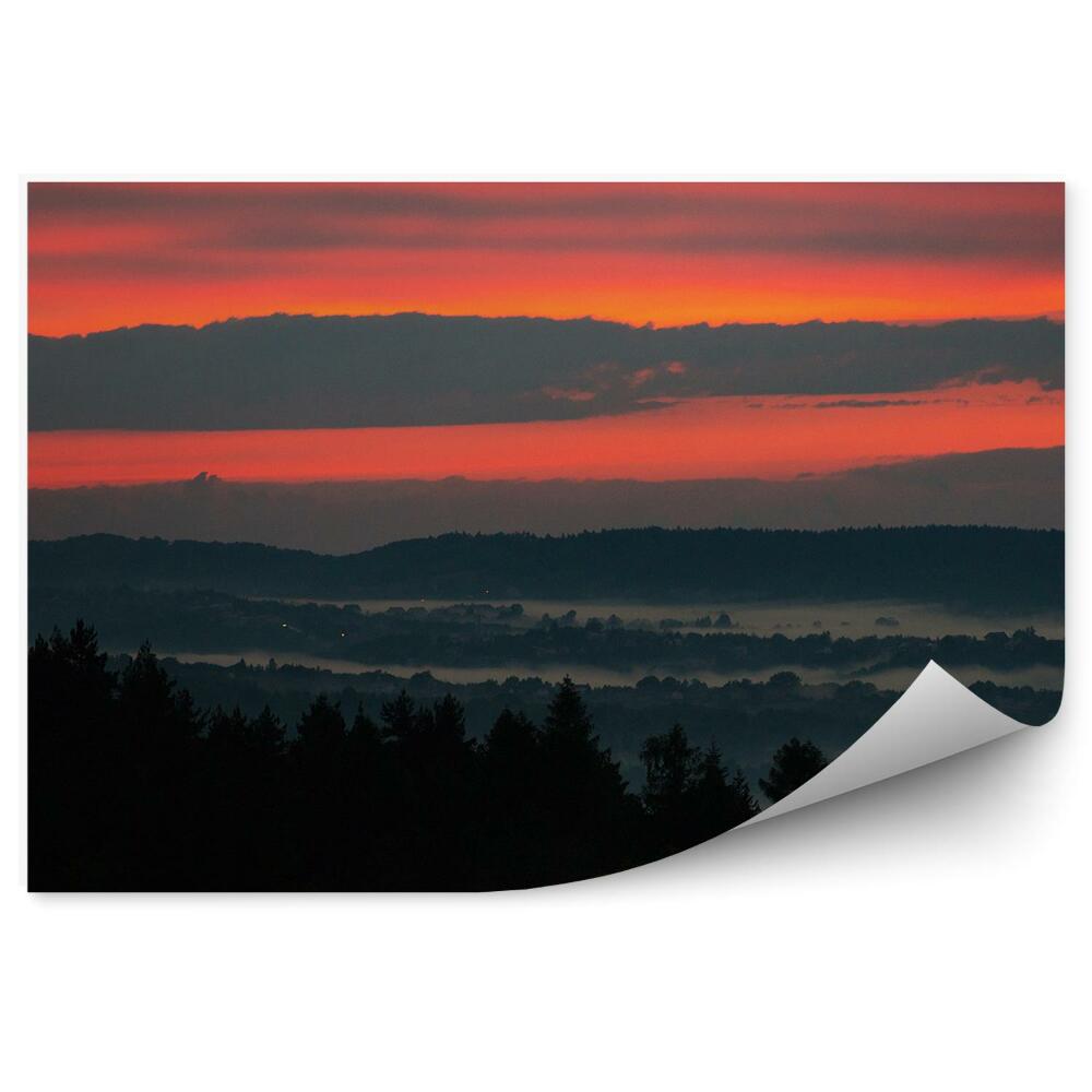 Modern fotótapéta Naplemente tűlevelű fák köd