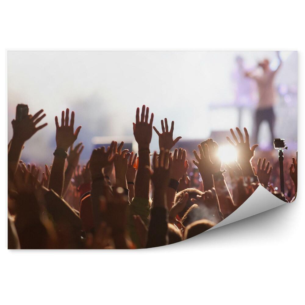 Öntapadós fotótapéta falra koncert emberek tömeg zene szórakozás
