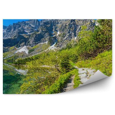 Öntapadós fotótapéta Ösvény zöldellő smaragdzöld víz hegyek között