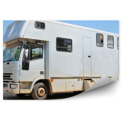 Fotótapéta Jármű lovak szállítására