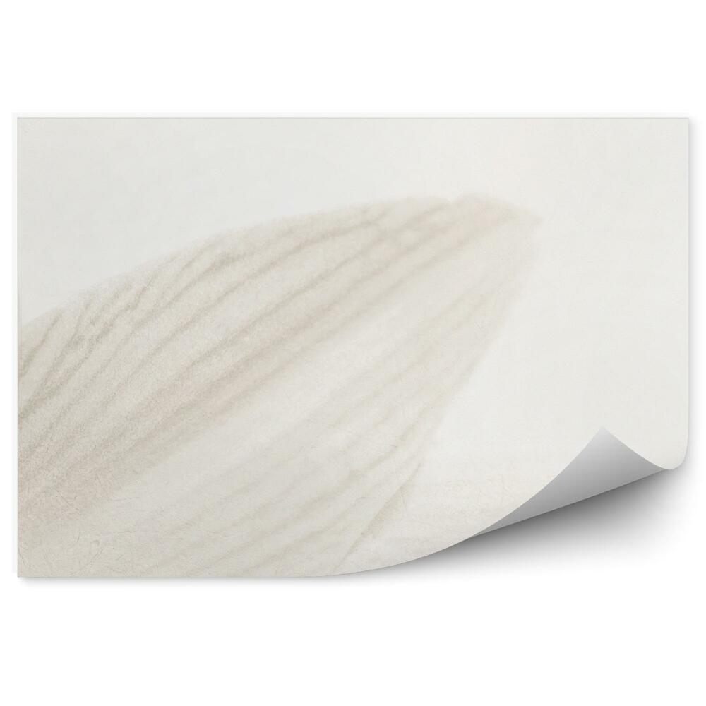 Fotótapéta Szürke liliom szirmok fehér háttér