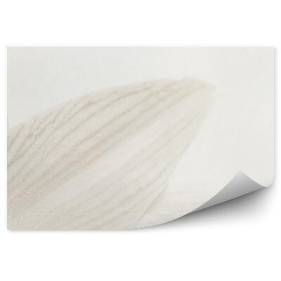 Fotótapéta Szürke liliom szirmok fehér háttér