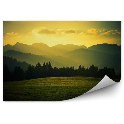 Öntapadós fotótapéta falra Festői hegyi tisztás