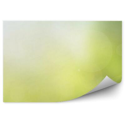 Fotótapéta Fű zöld pengék zöld háttér absztrakt