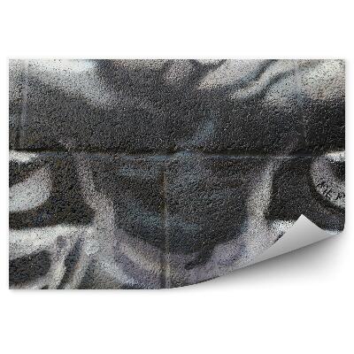 Öntapadós fotótapéta falra Majomszem graffiti