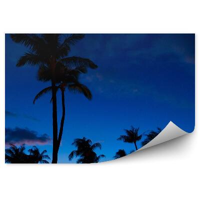 Fotótapéta pálmafák éjszakai égbolt felhők