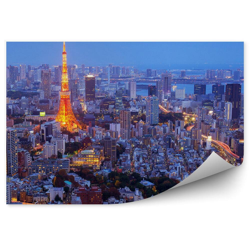 Poszter tapéta Tokió éjszakai légi felvétele