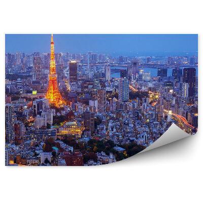 Poszter tapéta Tokió éjszakai légi felvétele