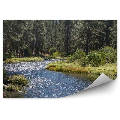 Öntapadós fotótapéta folyó karácsonyfa hegy természet