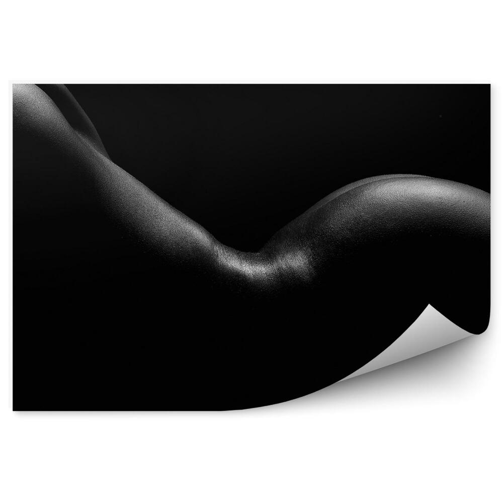 Fotó poszter tapéta Egy meztelen nő hátsó fenekének sziluettje