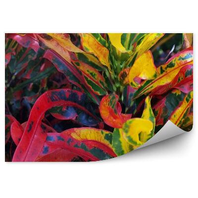 Öntapadós fotótapéta Színes növények levelek zöld sárga piros