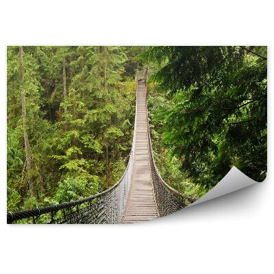 Öntapadós fotótapéta falra Lynn tűlevelű erdei kötélhíd