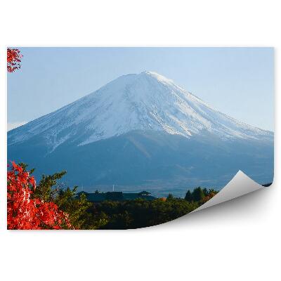 Öntapadó fotótapéta Juharfa természet égbolt őszi hegyi Fuji-tó