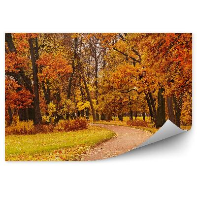 Öntapadós fotótapéta színes őszi park fa ösvény