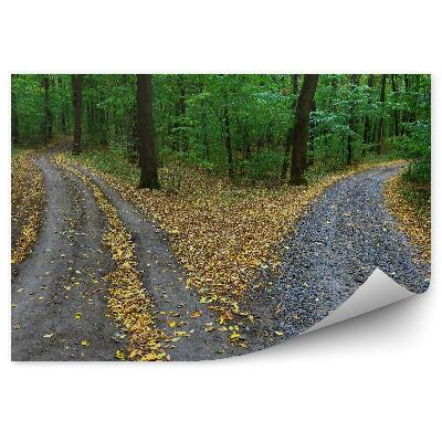 Poszter tapéta Erdei utak természet út fák