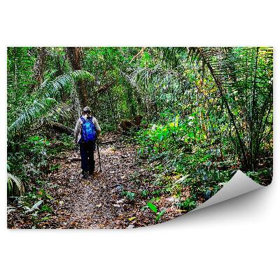 Fotótapéta utazó dzsungel túrázás levelek zöld