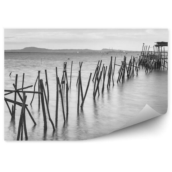 Fotótapéta Elpusztult fa tengeri móló fekete-fehér fotó