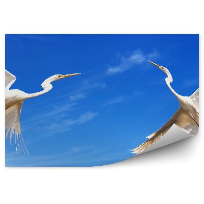 Öntapadós fotótapéta Két repülő daru az égen